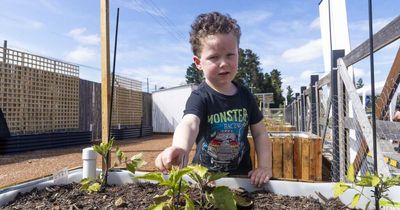 Vinnies, Dirty Jane's and Argyle Housing collaborate on the Good Works Garden