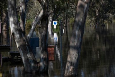 Severe weather warning for NSW and Victoria – as it happened