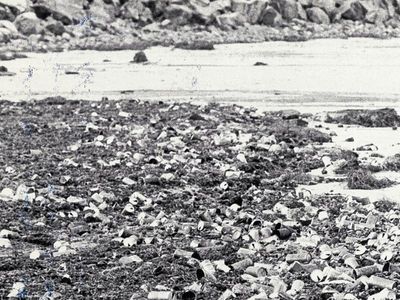 Drink deposit schemes need overhaul