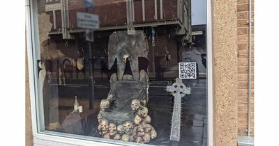 Halloween event organisers issue apology over horrifying 'dead dolls' window display
