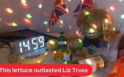 Lettuce romaine calm – London has fallen: How a lettuce outlasted Liz Truss
