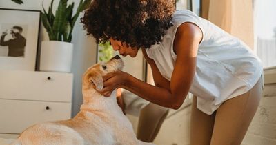 Expert warns letting dog lick your face could end in you losing a limb