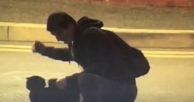 Moment man violently slaps his pet cat in the street