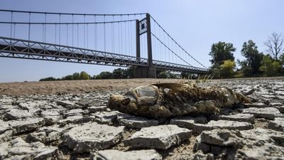 Climate change in France 'worse than expected' say researchers