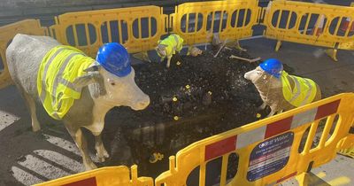 Butcher pulls off hilarious set of pranks on roadworks outside his business