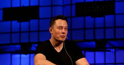 Elon Musk would cut 75% of Twitter workforce, according to report