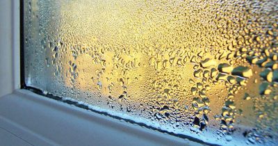Stop condensation on windows with 'wonder' hack involving common kitchen item