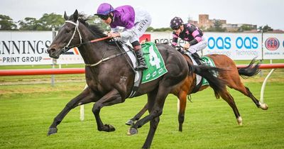 Newcastle colt Promitto set to deliver in Spring Champion Stakes grand final