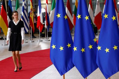 EU shouldn't build dependency on regimes like China, says Finnish PM