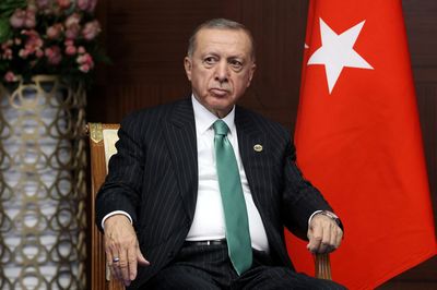 Erdogan says Turkish army has never used chemical weapons
