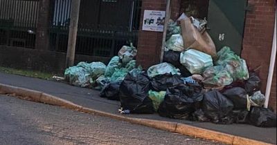 Mountain of flytipped bin bags left for weeks becoming a 'playground for rats'