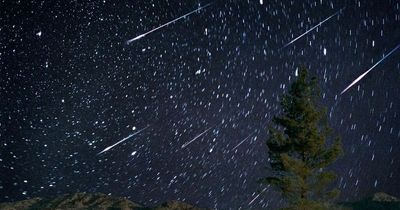 Orionid meteor shower to light up night sky - when and how to see it