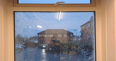 'Gutted' East Lothian nursery staff plead with callous vandals after windows smashed