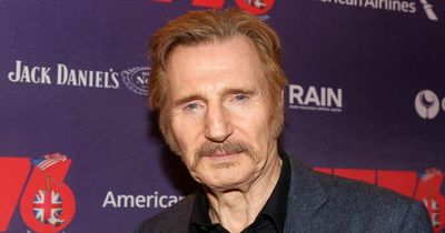Liam Neeson named as highest-grossing Irish movie star