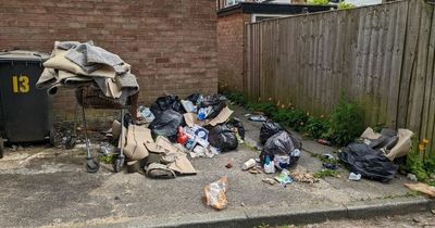 Greater Manchester council spending £4m A YEAR dealing with litter and fly-tipping