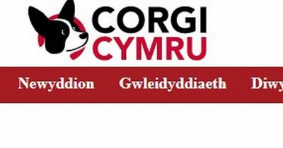NUJ calls for review of public funds given to Welsh language news service which is closing after five months