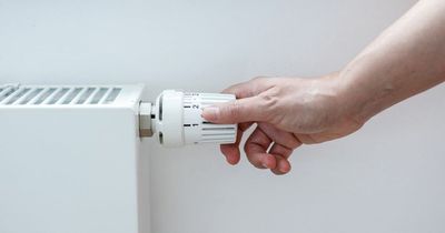 Heating experts explain if you should turn off unused radiators to save money