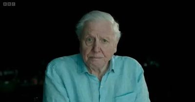 Sir David Attenborough fans 'heartbroken' as he makes 'urgent plea'