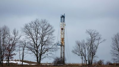 Could the US restrict energy exports amid the global crisis?