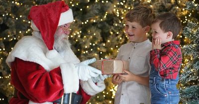 Dobbies garden centre announces Christmas events including grotto for dogs