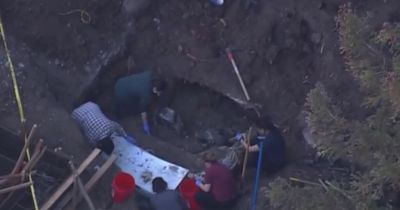 Homeowner baffled to find car buried in back garden while carrying out landscaping