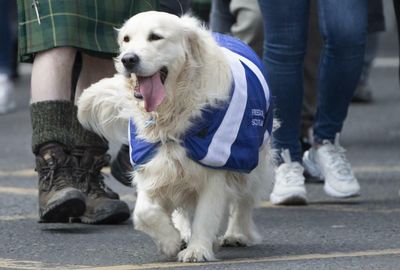 Scottish independence support up four points in latest YouGov poll