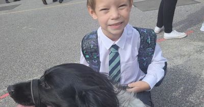 Family dog saves schoolboy's life by SMELLING out urgent health issue