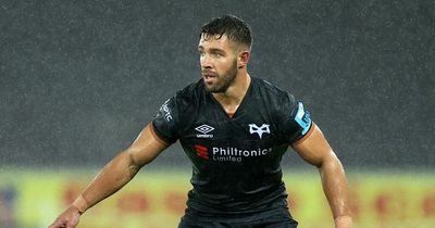 Ospreys coach taken aback by Wayne Pivac's latest Rhys Webb snub