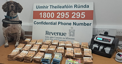 Revenue seize almost €390,000 cash found in truck at Dublin Port