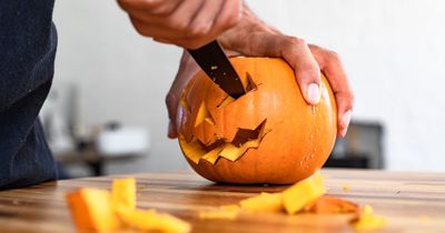 GlasGLOW launches annual free pumpkin carving workshop at Botanic Gardens event
