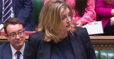 Penny Mordaunt becomes first MP to declare candidacy to become next Prime Minister