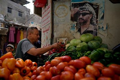 Stay or go: Palestinians in Lebanon plunged into poverty