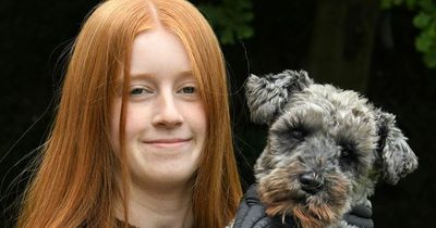 NI dog lover who saved two lives to be honoured at Pride of Britain Awards