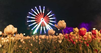 Floriade return falls just short of visitor target