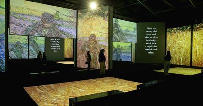 Van Gogh Alive to wrap up after 82,000 visits