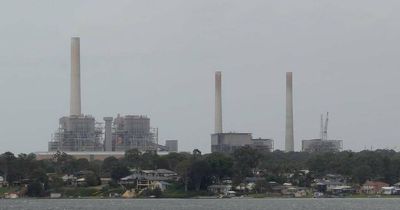 Environment groups seek to block sale of Vales Point power station