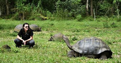 Ecuador and the Galapagos Islands are a must for the bucket list