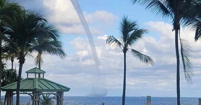 Tornado rips through coast hurling sand and umbrellas into the air as beachgoers look on