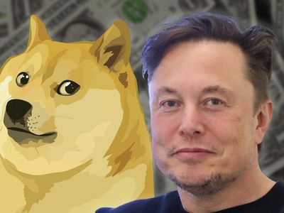 If You Invested $100 When Elon Musk First Tweeted About Dogecoin, Here's How Much You'd Have Now