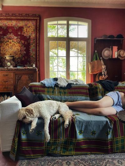 ‘It is like revisiting my childhood in vivid, high definition’: Gerry Brakus’s best phone picture