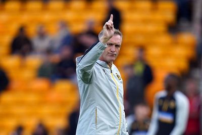 Wolves caretaker boss Steve Davis opens up on challenge of coping with pressure