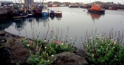 Gardai 'investigating all circumstances' after man's body found off Howth Harbour