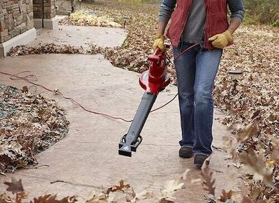 The 8 best leaf vacuums