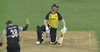 David Warner suffers bizarre dismissal as Australia thrashed by 89 runs at T20 World Cup