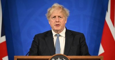 'Tories want Boris Johnson back as PM because he is the best they can hope for'