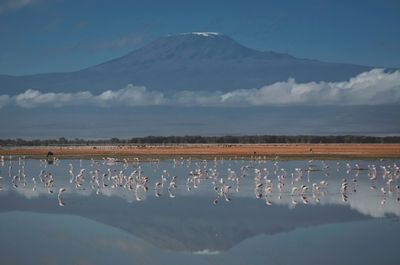 Tanzanian firefighters battle blaze on Mount Kilimanjaro