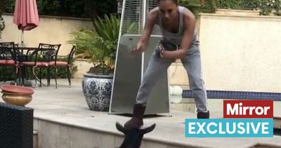 Scary Spice Mel B's odd morning routine includes spooking pet goat into fainting