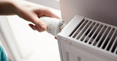 Expert warns people about turning off unused radiators to save energy