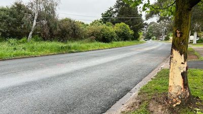 Man killed after ute hits tree in third fatal crash in three weeks in Canberra