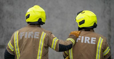 Firefighters take pay fight to Holyrood in ‘biggest protest in years’